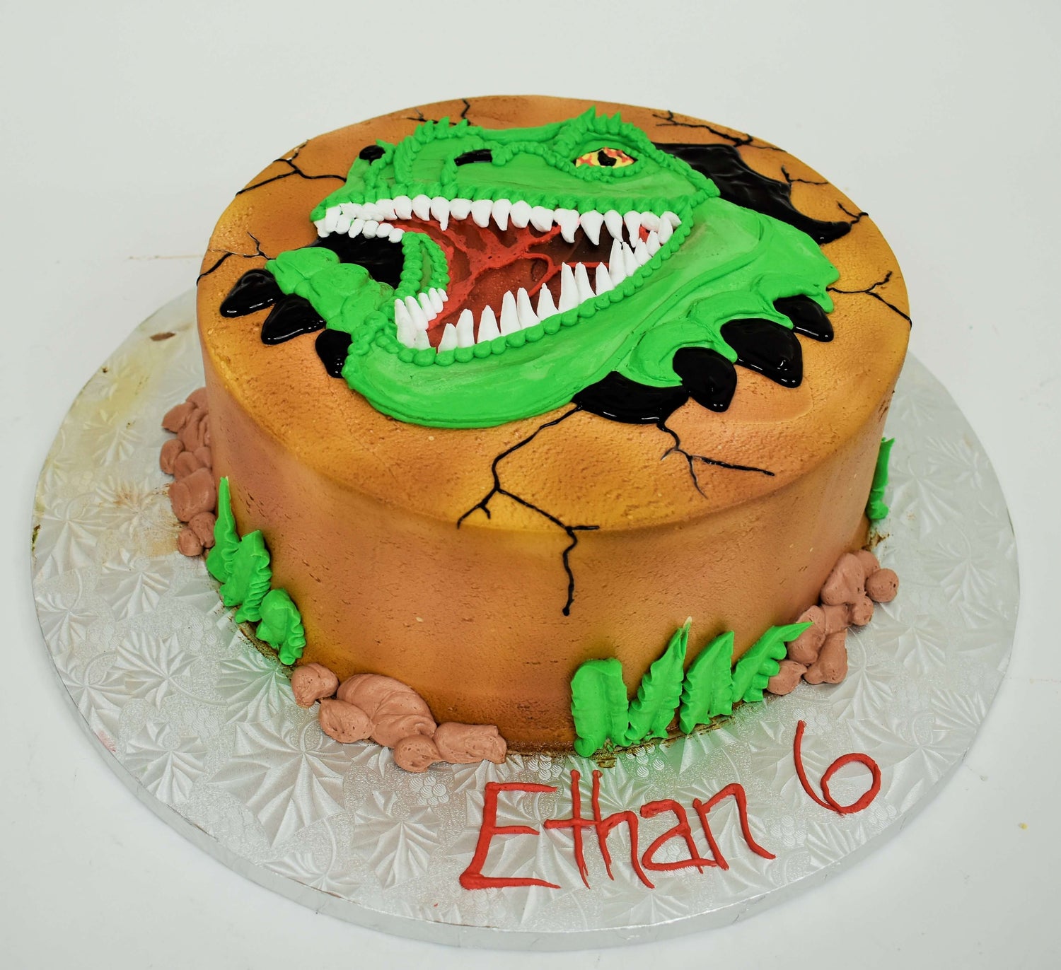 McArthur's Bakery Cake For Older Children, Tweens, and Teens With a Dinosaur Head and T-Rex