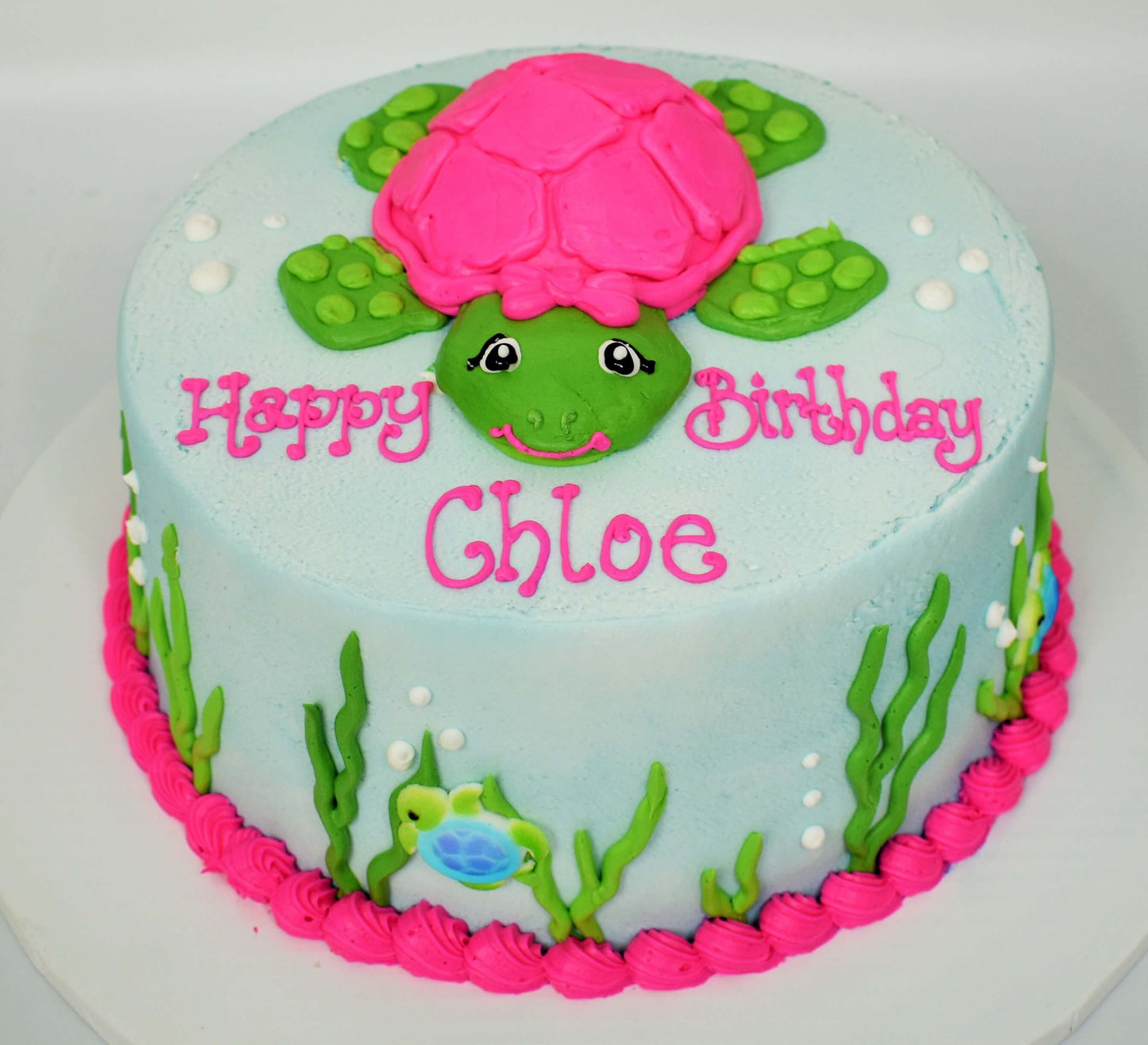 Sea Turtle Cake