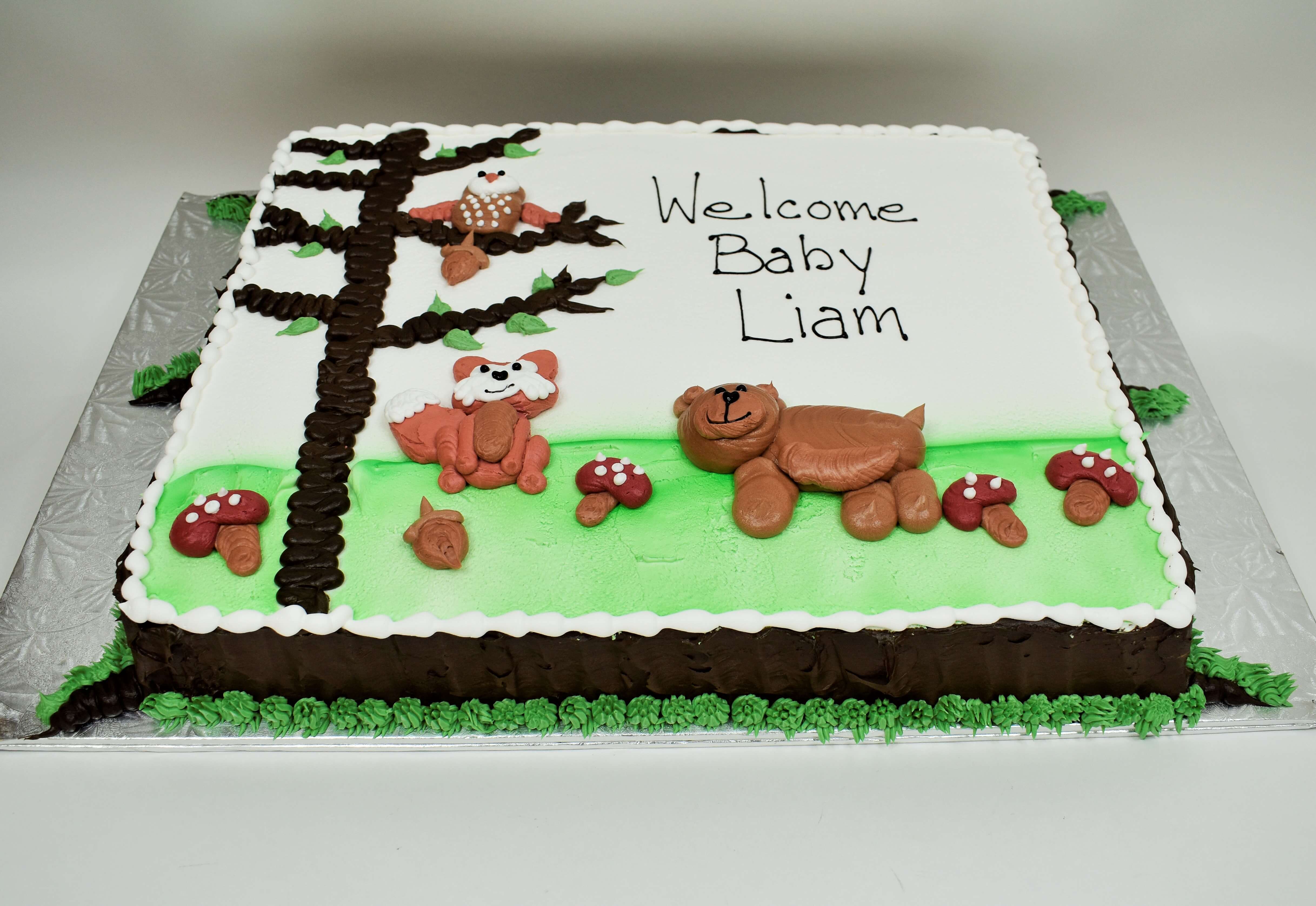 MaArthur's Bakery Custom Cake with Raccoon, Owl, Bear, Mushrooms, Tree