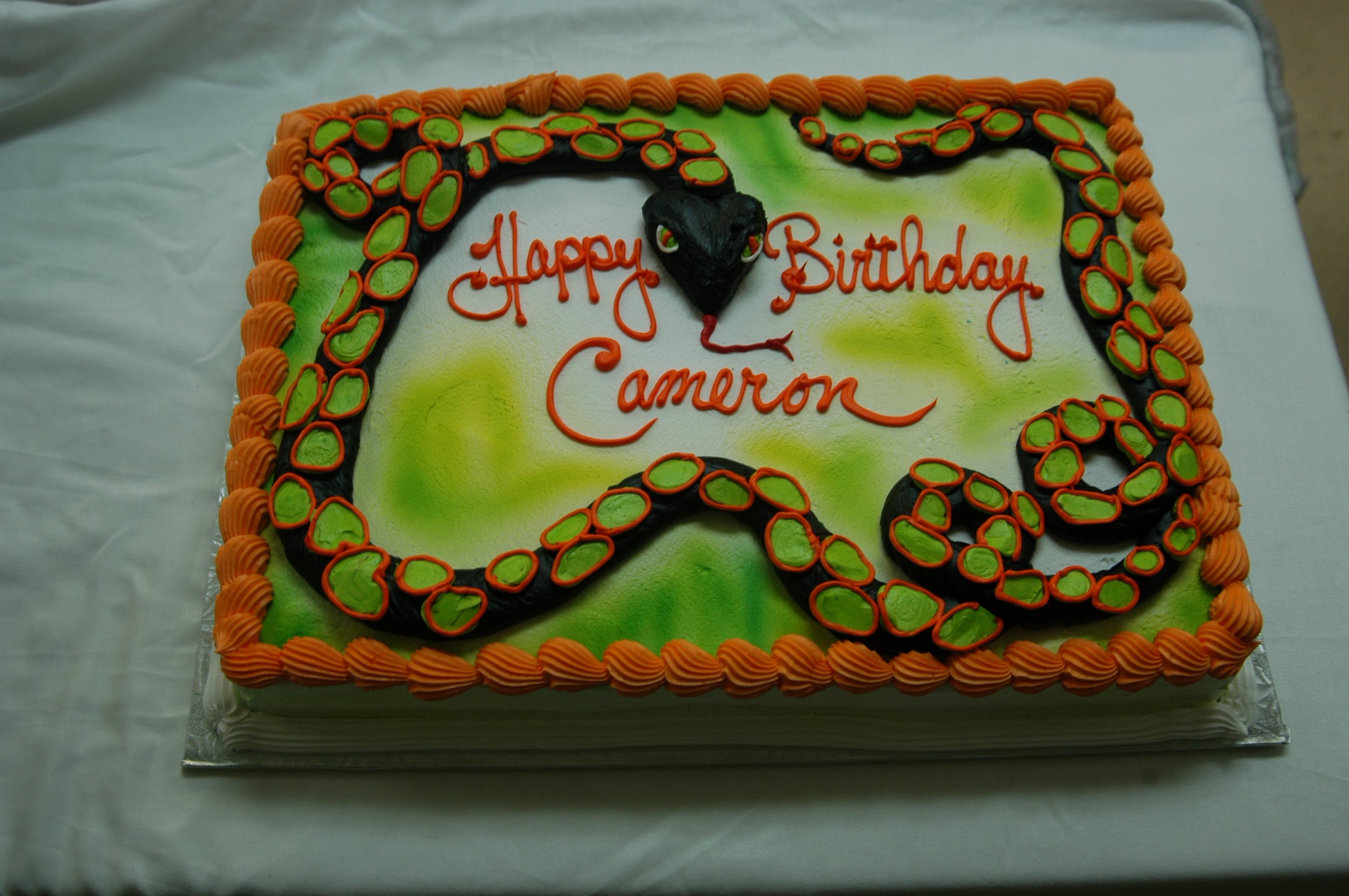 McArthur's Bakery Custom Cake with Black, Green and Orange Snake