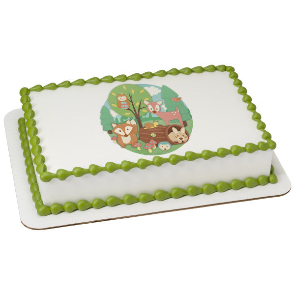 McArthur's Bakery Custom Cake With Woodland Buddies In The Woods