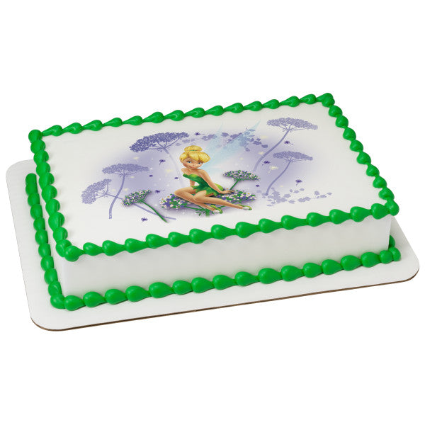 MaArthur's Bakery Custom Cake with Tinker Bell Scan